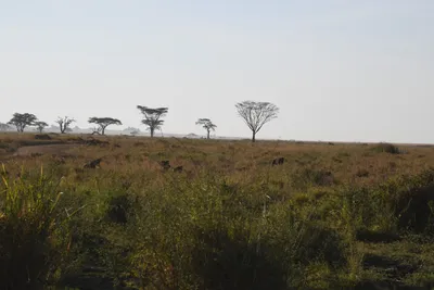 DSC_3794 (Large).JPG